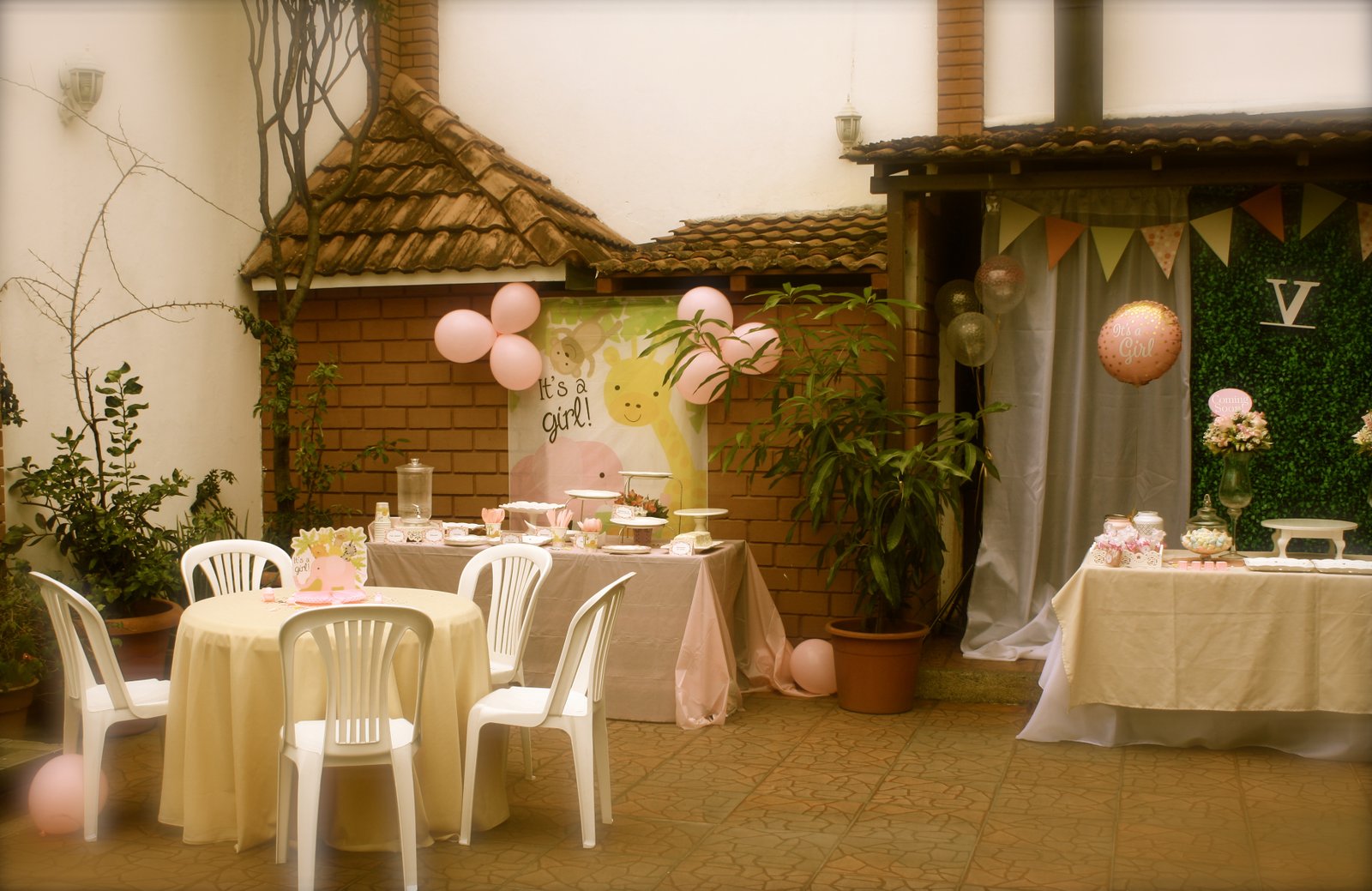 Baby Shower · Foto 2