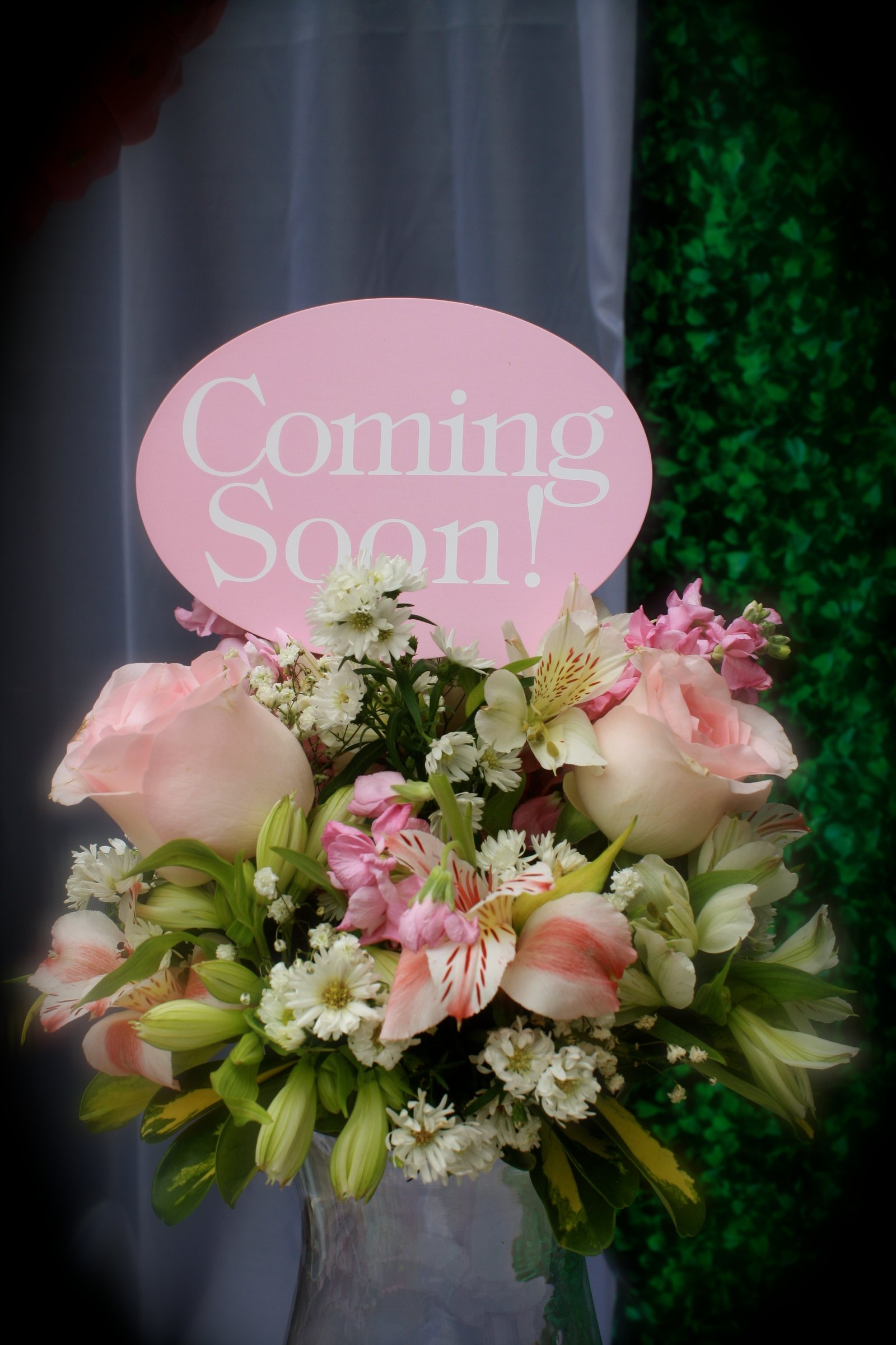 Baby Shower · Foto 6