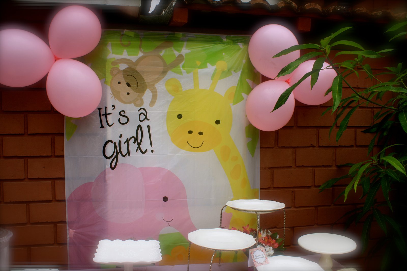 Baby Shower · Foto 13
