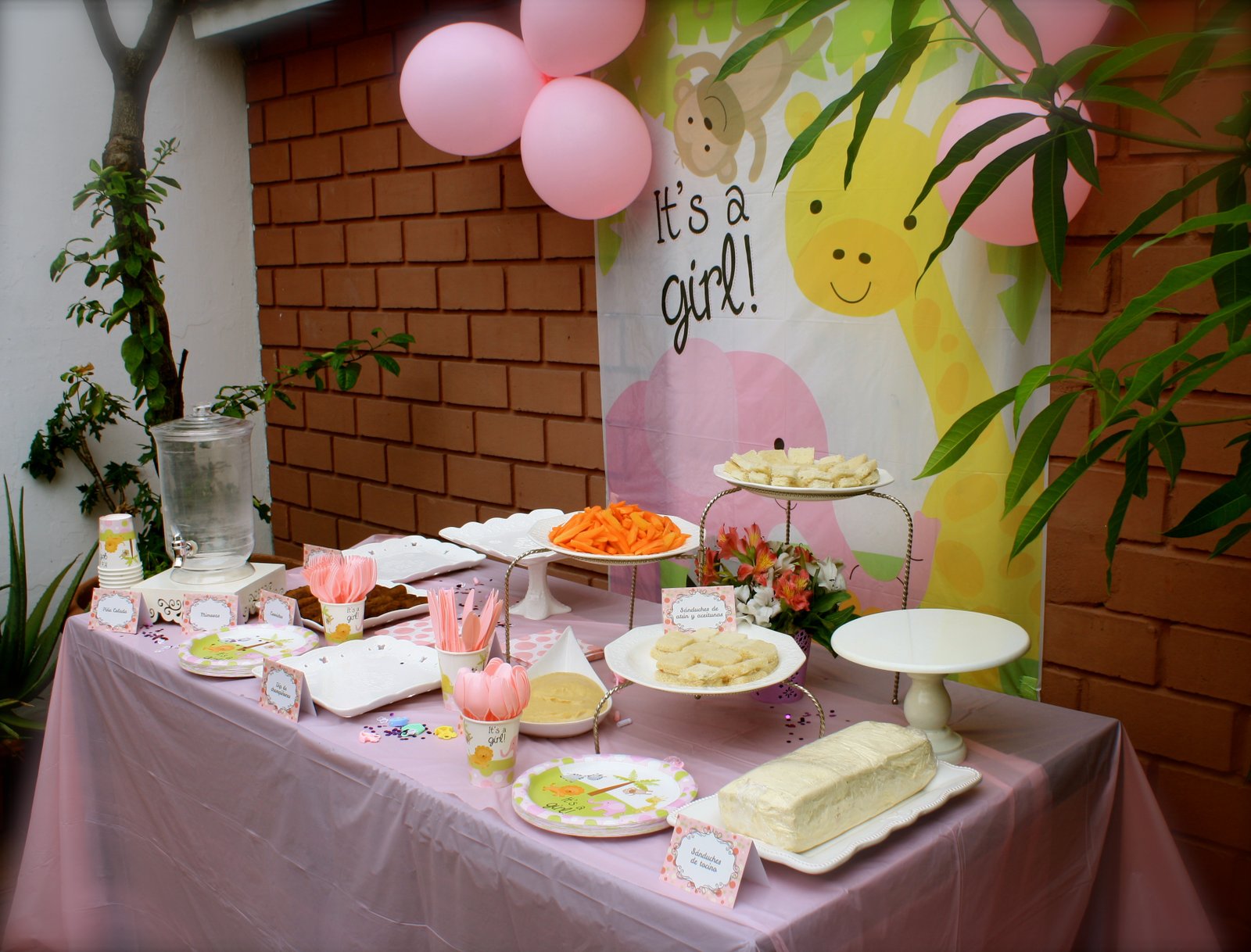 Baby Shower · Foto 30