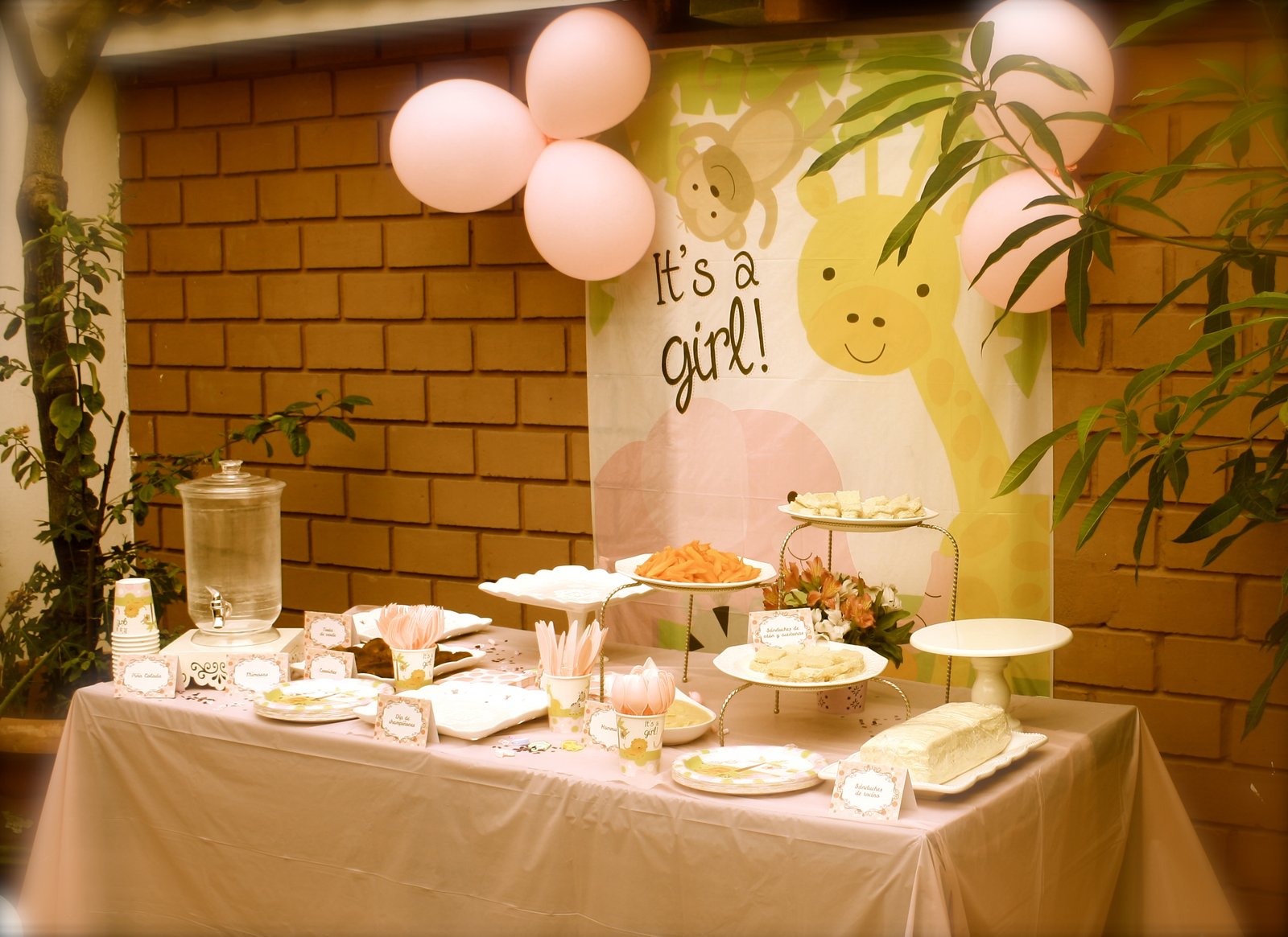 Baby Shower · Foto 31