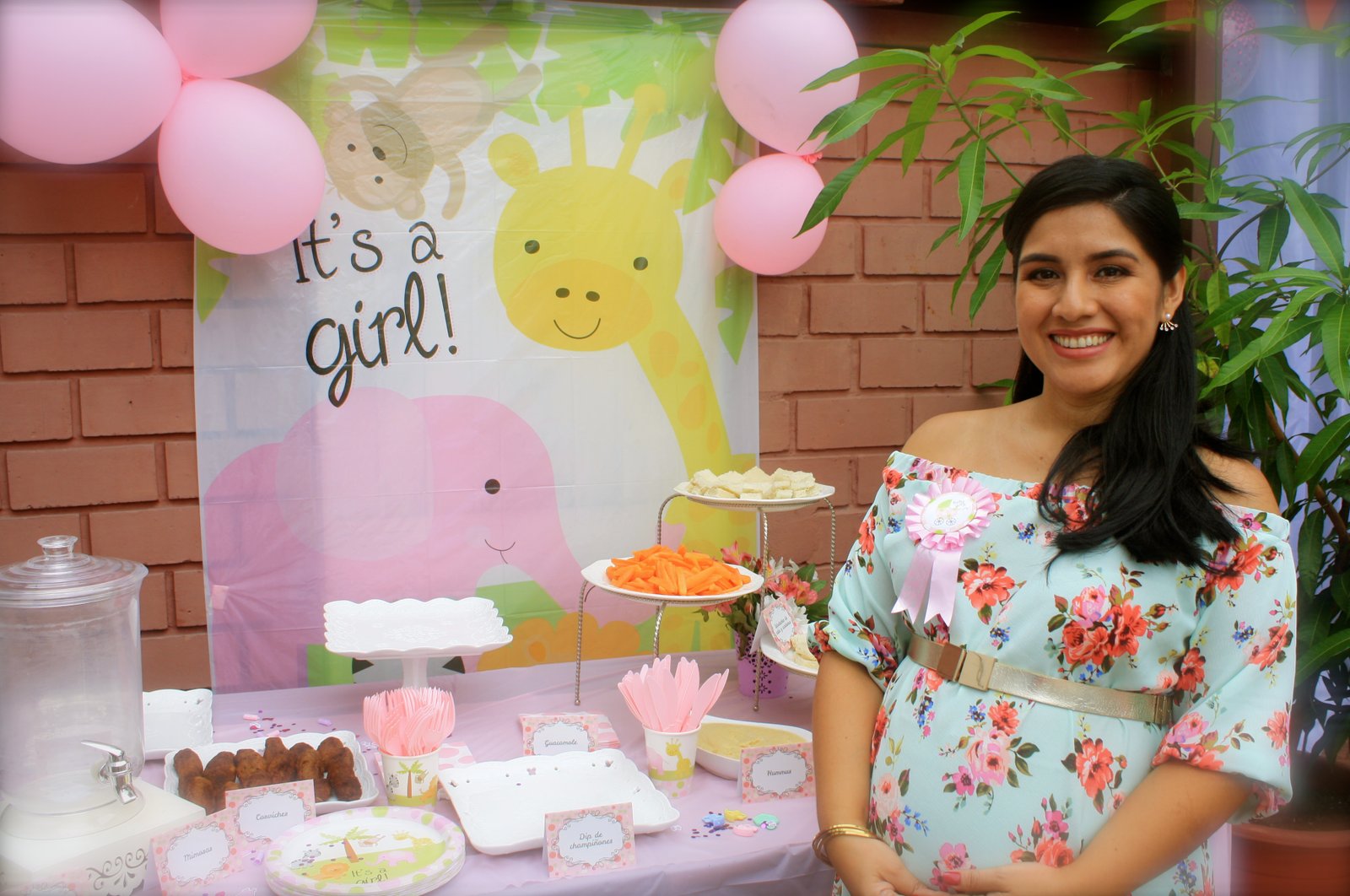 Baby Shower · Foto 38